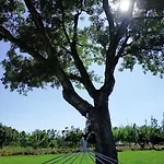 Sulcis Sardegna Apartamento *