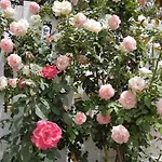 Sulcis Sardegna