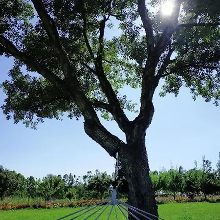 Sulcis Sardegna Apartment *